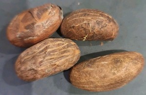 Bitter kola nuts garcinia kola organic 50g - respiratory energy joint health