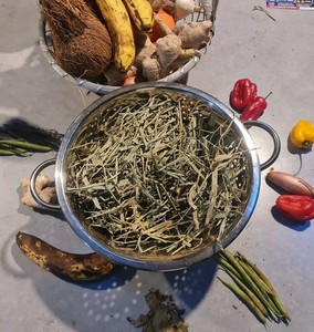 Jamaican bamboo leaves and stems dried organic 50g - kidney health and detox