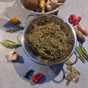 Jamaican cerassie bitter melon cerasee herb 50g - blood sugar and detox tea