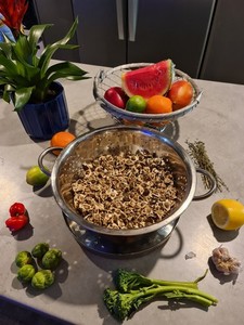 Jamaican organic moringa seeds 200 pack bulk bag