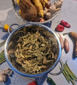 Jamaican neem leaves dried organic 50g - antibacterial skin care and immune support